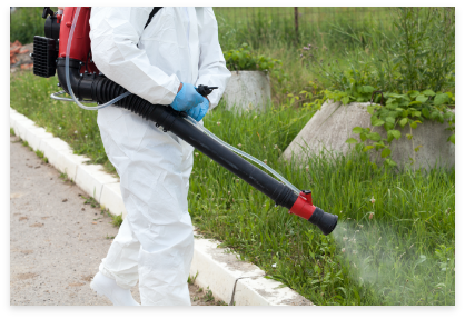 Commercial mosquito control service