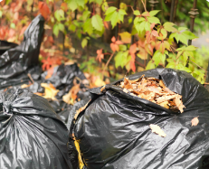 leaf-removal-bags